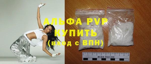 крисы Бородино