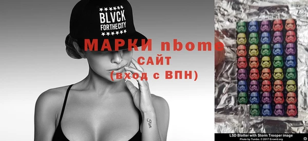 крисы Бородино