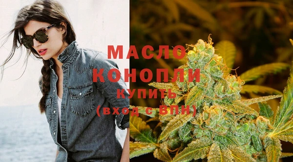крисы Бородино