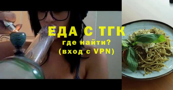 крисы Бородино