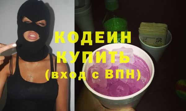 крисы Бородино