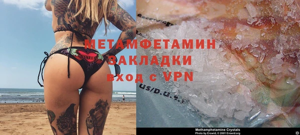 крисы Бородино