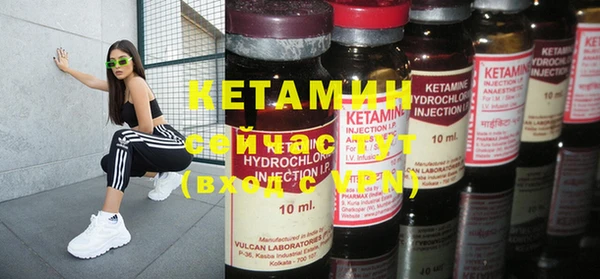 крисы Бородино
