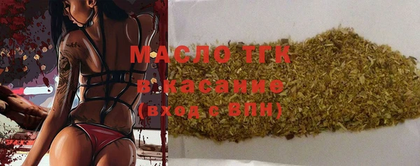 крисы Бородино