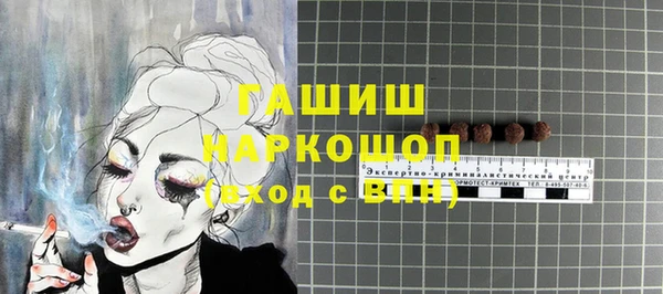 крисы Бородино
