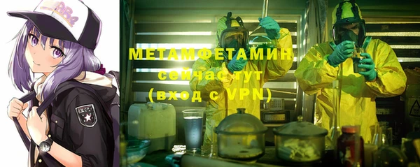 крисы Бородино