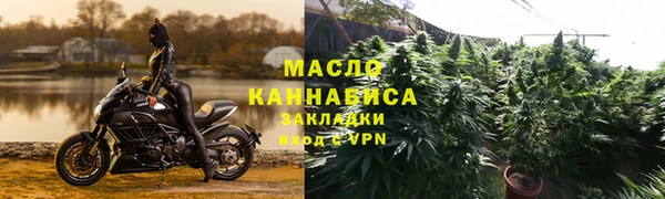 крисы Бородино