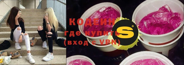 крисы Бородино