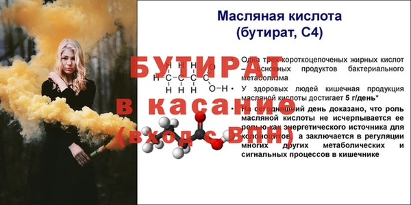 крисы Бородино