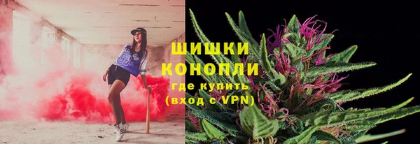крисы Бородино