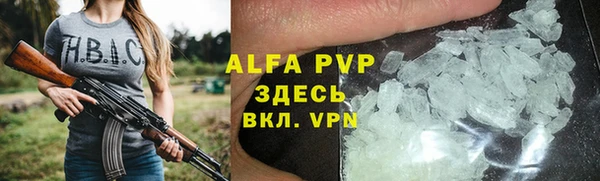 крисы Бородино